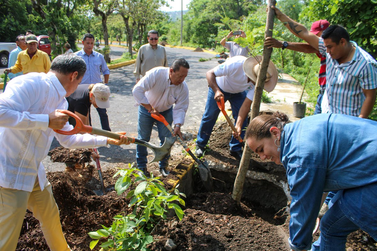 Propaem_Morelos tweet media