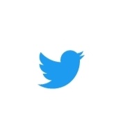 sasasunn's tweet photo. Ciao Twitter 🥺
Eccoti, X ✖️ https://t.co/WIYN0aJYqy