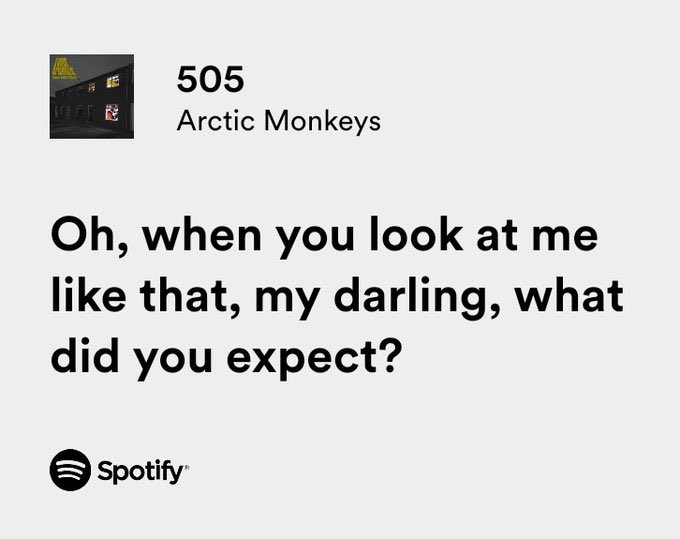 arctic monkeys / 505