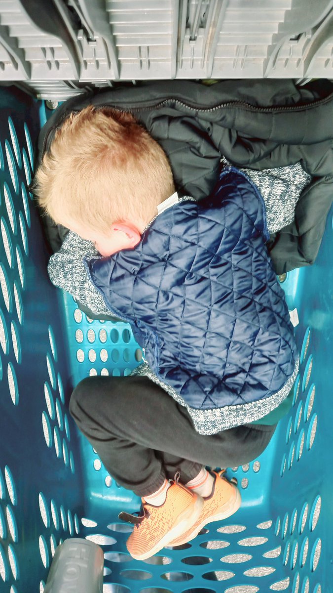TanyaKoorts's tweet photo. We did some shopping today and Janco was just sleeping. Usually he gets excited about choosing a new toy.

Every now and then I checked to see if he was still breathing😔

#cfsucks https://t.co/SxR63UPiOI