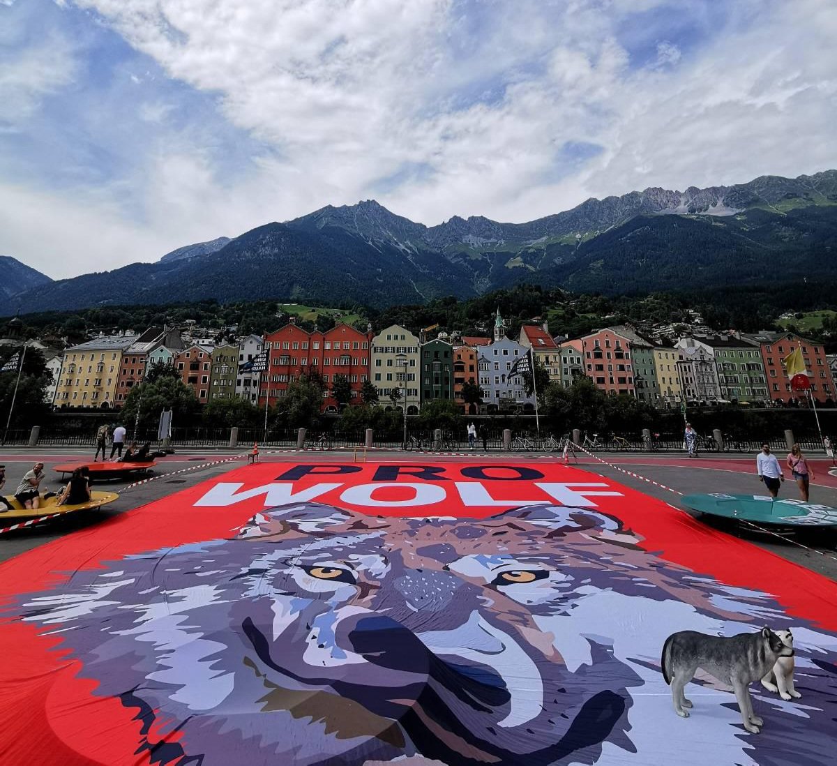 vgt_at's tweet image. Heute in Innsbruck, unser 400 qm großes Banner #ProWolf! !B