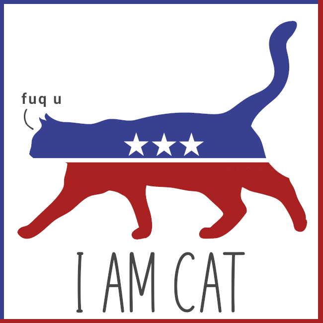 SpaceCatMemes👾 tweet media