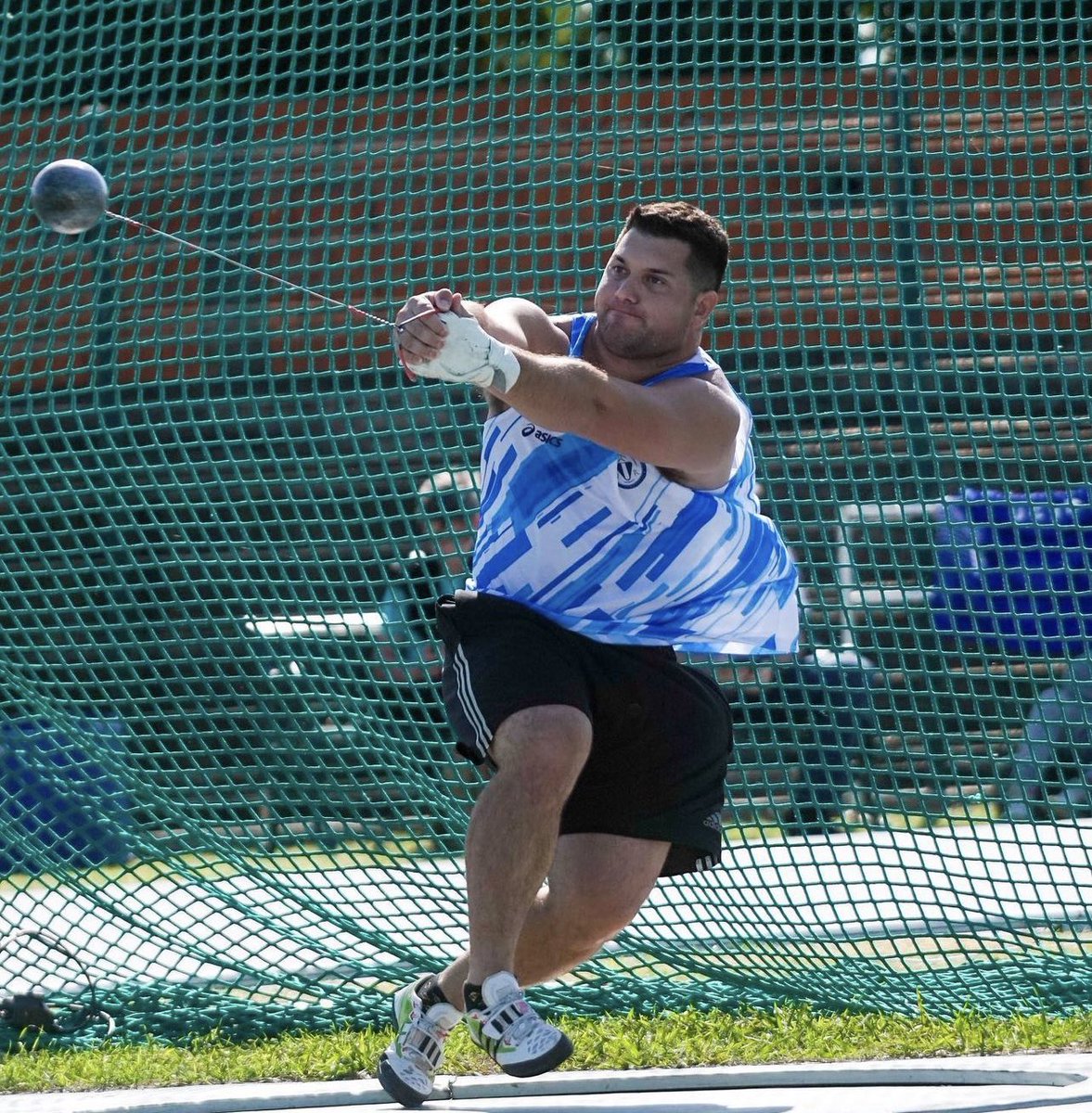 Daniel Piloni tweet media