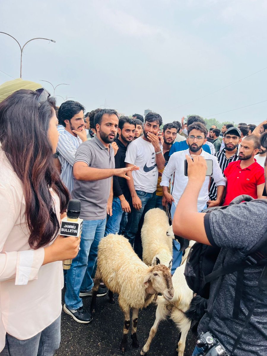 Amirchoudhary__'s tweet photo. Tribals of J&amp;K are on roads with their livestocks against the inclusion of non-tribals into ST reservation. BJP govt is in deep sleep but we warn them to not include upper castes in ST category otherwise we'll move towards Delhi with our livestocks. #NoSTStatusToUpperCastes https://t.co/mj9GQAJV8Q