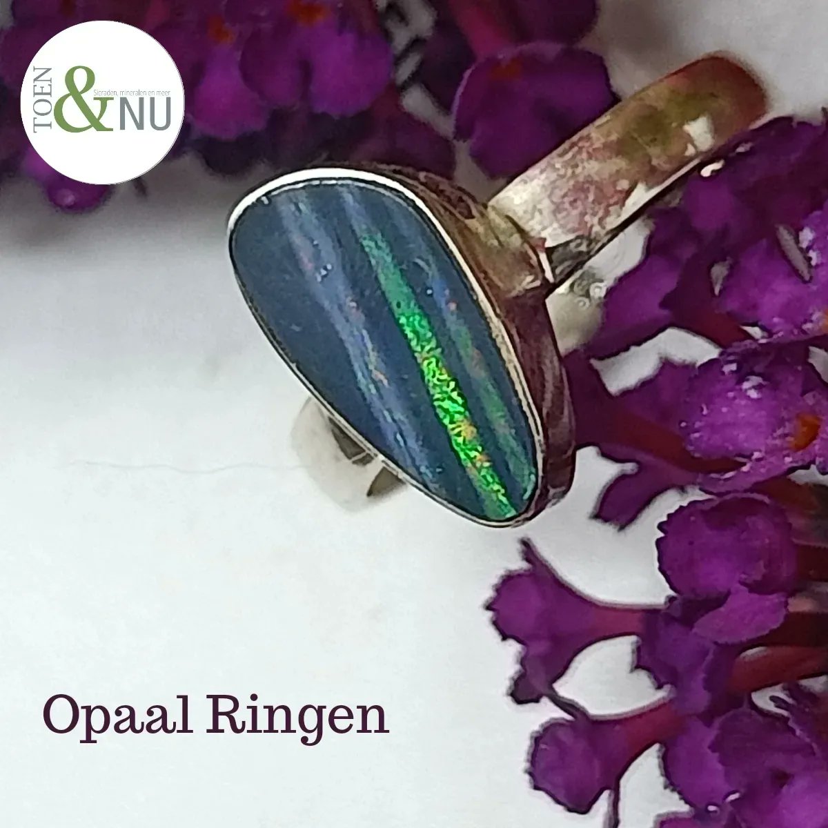 ToennuDeventer's tweet photo. #Opaal ringen. Deze #beauties hebben we gevonden in #Frankrijk. Eindelijk Opaal #ringen in ons assortiment! We hebben een hele serie voor jullie meegenomen, dus grote kans dat jouw maat er is. Kom je passen?
#Deventer #Broederenstraat #edelstenenshop #edelstenenwinkel https://t.co/hdOF3DkQQI