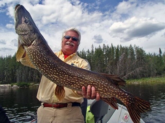 Since 1949, MLOA Members Aikens Lake Wilderness Lodge has been providing jaw dropping fly-in fishing opportunities in Manitoba. Check them out: aikenslake.com

📸<a href="/aikenslake/">Pit Turenne</a> 

#mloa #huntfishmb