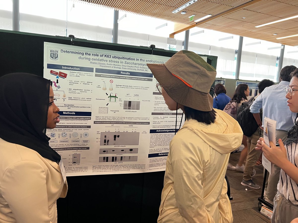 thesilvalab's tweet photo. After an intense and productive summer, I am proud of both of our summer students Widgan Hissien (@DukeTrinity) and Oluwatosin Adeyemi (@MVSUDEVILS) for completing their projects and presenting their posters at the Research Showcase! #BSURF #SROP https://t.co/eQmRSkETRy