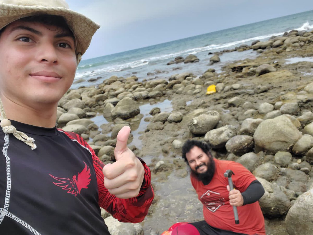 I just finished my second week of sampling and now I’m getting ready for the third. Here are some of the algae that I found last week in the intertidal turf communities in the Pacific coast of Panama.

#phycologyfriday