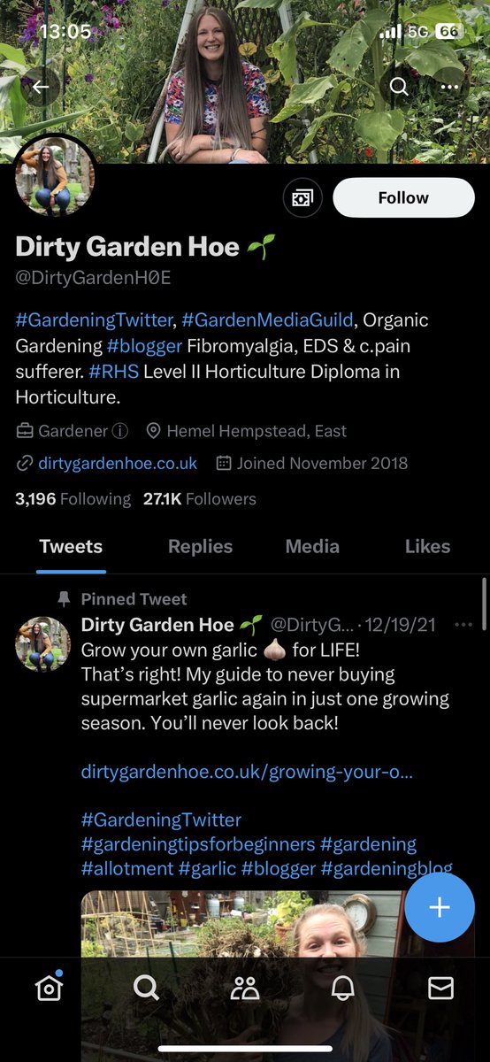 Hazel tweet media