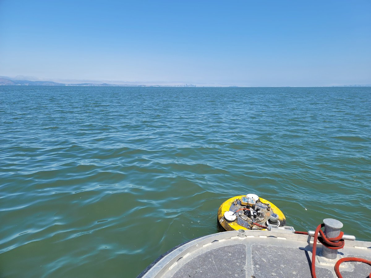 Dan Killam tweet media