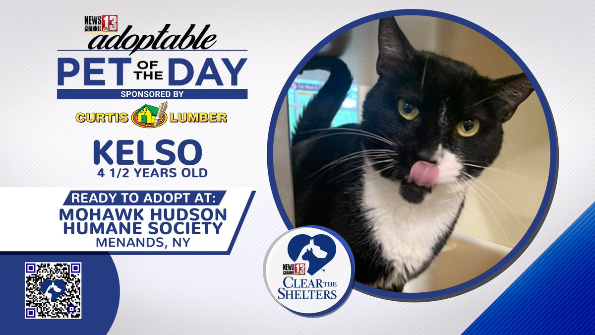 WNYT NewsChannel 13 (@wnyt) on Twitter photo #ClearTheShelters 4.5y/o Kelso's single and ready to mingle! ...or at least, he's ready to be adopted😁contact <a href="/Mohawkhumane/">Mohawk Hudson Humane</a> for more info! <a href="/curtislumber/">Curtis Lumber</a> #adoptablepetoftheday #ClearTheShelters 4.5y/o Kelso's single and ready to mingle! ...or at least, he's ready to be adopted😁contact <a href="/Mohawkhumane/">Mohawk Hudson Humane</a> for more info! <a href="/curtislumber/">Curtis Lumber</a> #adoptablepetoftheday