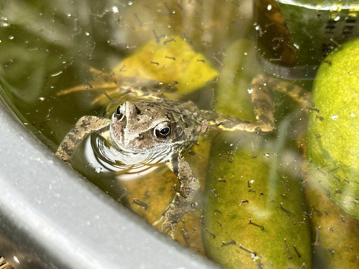 Adam Wigley tweet media