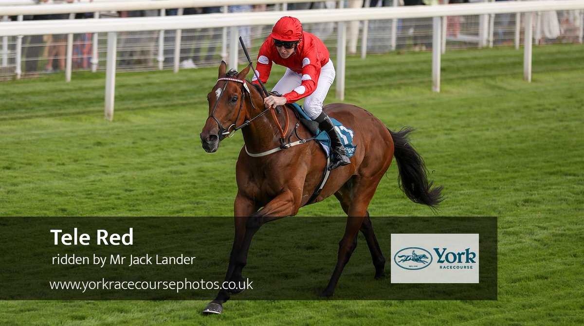 Jack Lander tweet media