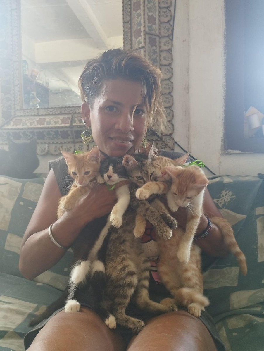 Protección Animal SOS- PASOS🐾 tweet media