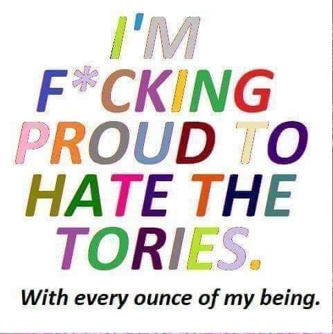 josiechappers's tweet image. #Followbackfriday if u feel the same. I don&apos;t like hating. It&apos;s exhausting. But after years of lies, corruption, and being taken for a fool, it&apos;s what they have done to me. #EnoughIsEnough #FuckTheTories #GeneralElectionN0W #WeDeserveBetter