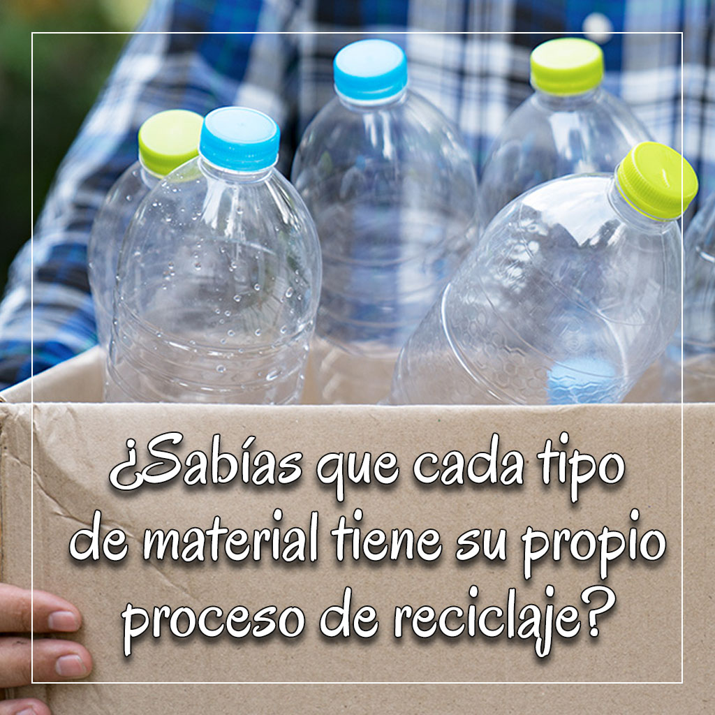 Fundacion Ecodiversa tweet media