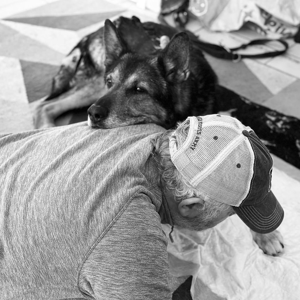 Thin Blue Paw Foundation tweet media