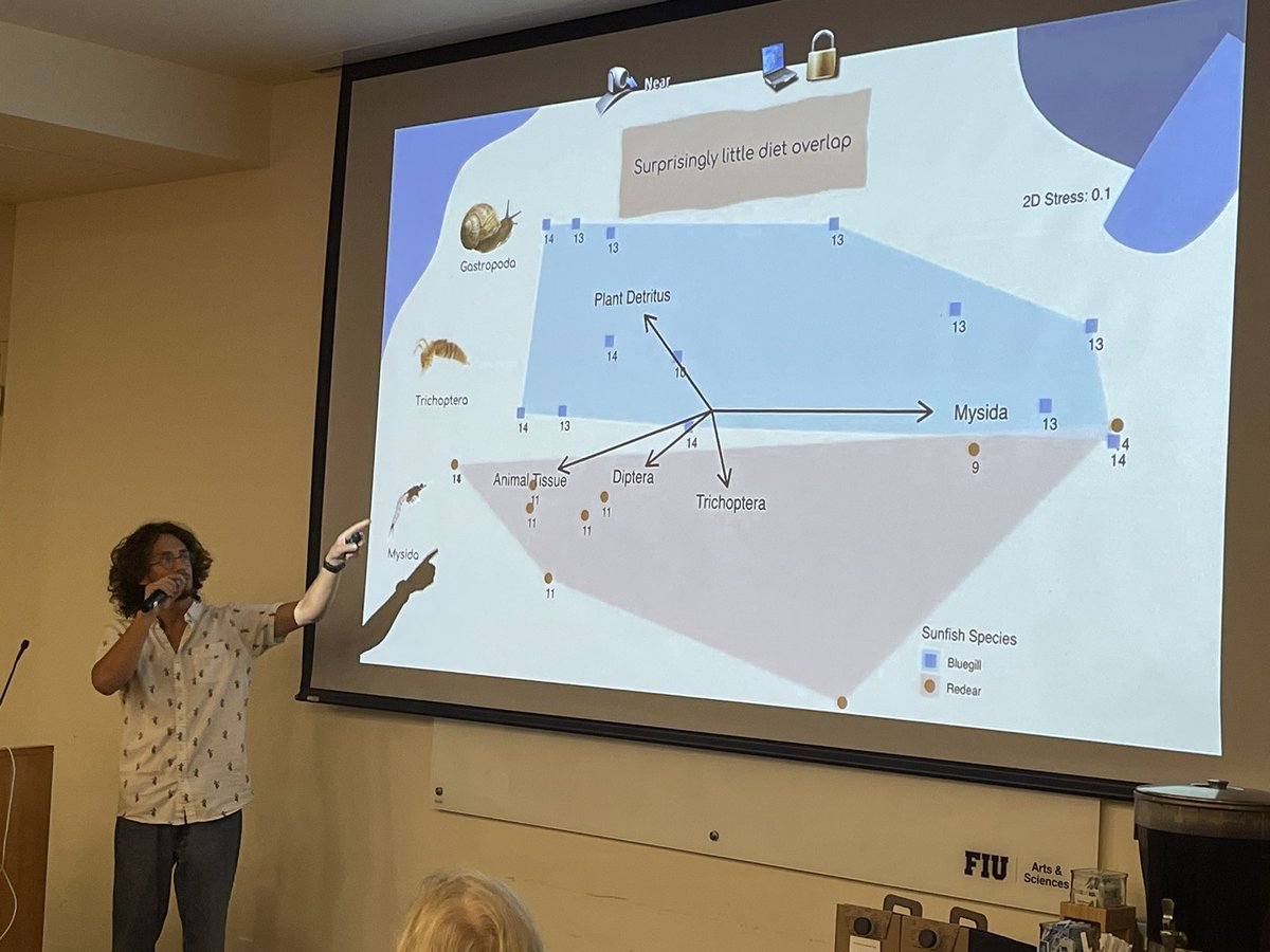 James Sturges (@jamessturges_) on Twitter photo What an awesome presentation from Dakota Rygh our <a href="/NSF/">U.S. National Science Foundation</a> & <a href="/FIUCASE/">FIU College of Arts, Sciences & Education</a> REU! He really immersed himself in field and lab work this summer and produced some awesome diet analyses on research and bluegill sunfish species! We’re going to miss him but expect big things in the future! What an awesome presentation from Dakota Rygh our <a href="/NSF/">U.S. National Science Foundation</a> & <a href="/FIUCASE/">FIU College of Arts, Sciences & Education</a> REU! He really immersed himself in field and lab work this summer and produced some awesome diet analyses on research and bluegill sunfish species! We’re going to miss him but expect big things in the future!