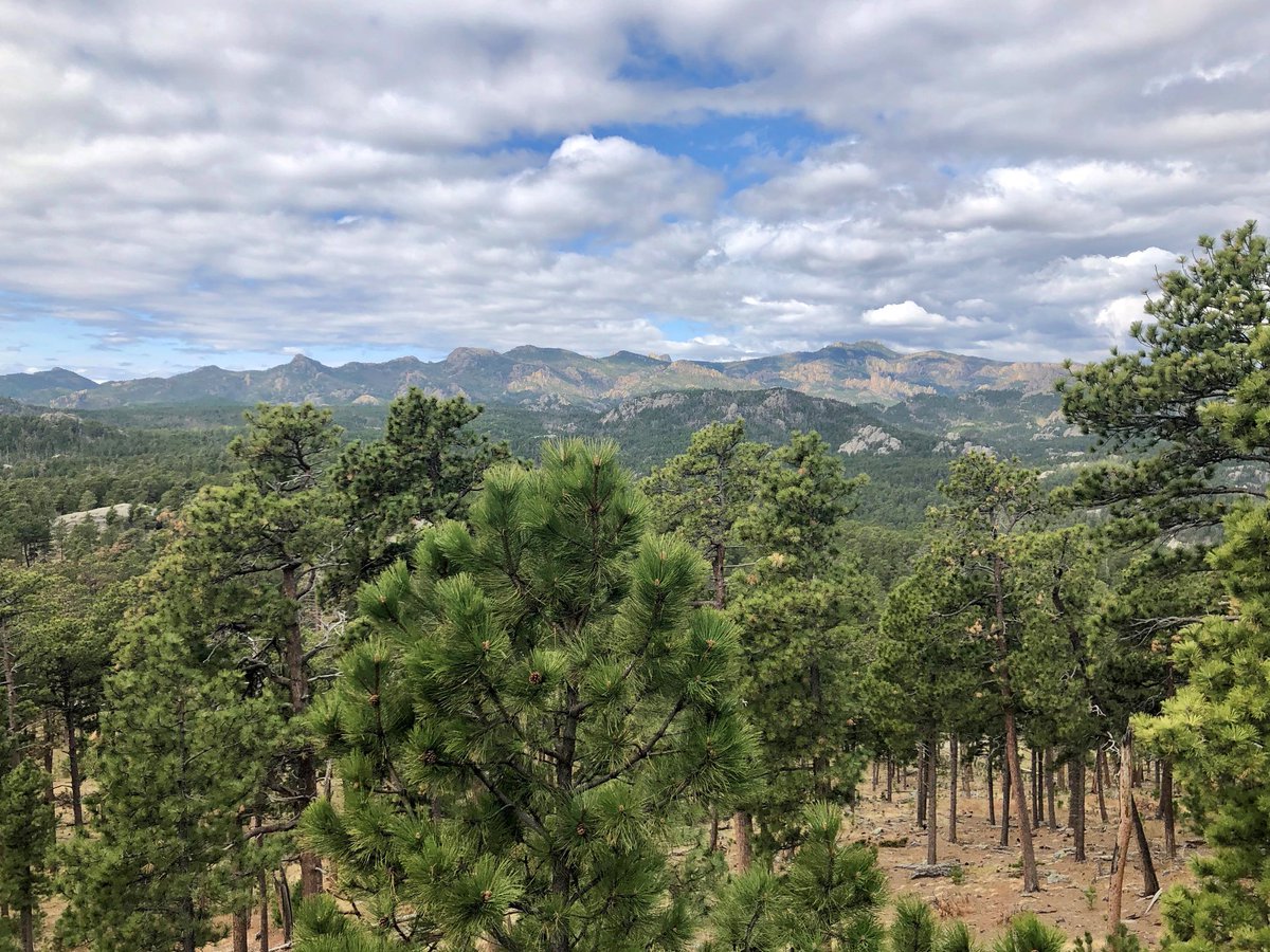 BlackHillsNF's tweet photo. #ForestFeatureFriday: Within the heart of the Black Hills of SD, lies the Norbeck Wildlife Preserve. https://t.co/aNkKwU8ipa https://t.co/OUxfe7zWqL