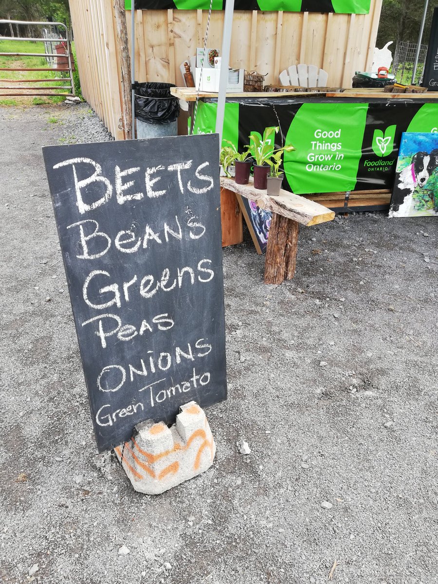 Found a new #farmmarket today! They actually picked my fresh veggies while I waited! 7545 County Road 2
#buylocal #farmers