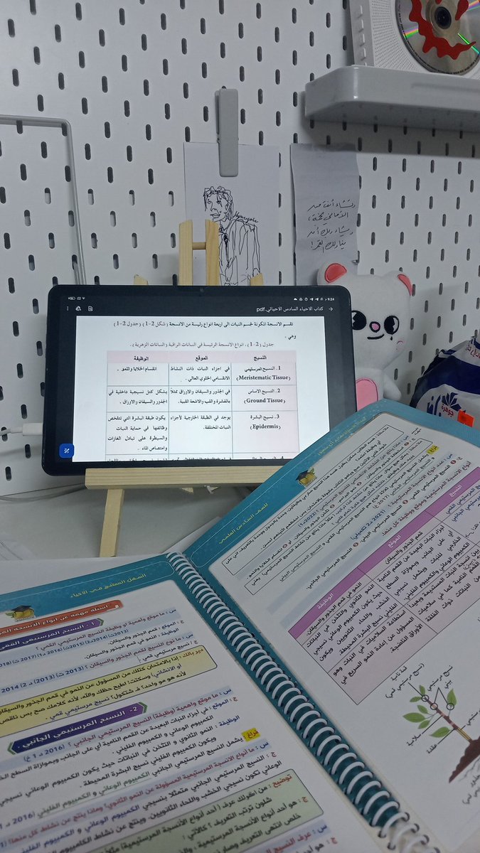 xllvkj's tweet photo. توني بديت اركز بالاحياء وشفتها حسبي الله
هسه جسمي ديكرصني يكوللي عوفي البيدج وروحي شوفي المسلسل 💔 https://t.co/ZjBeKA8kTh