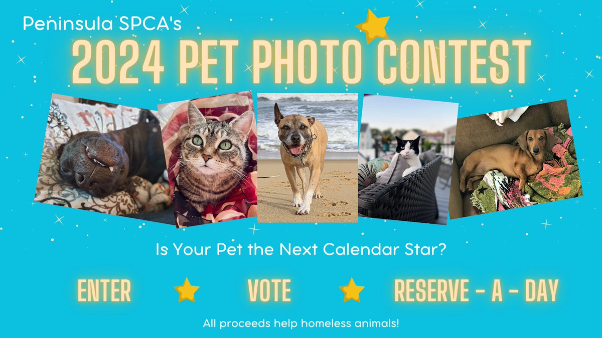 PeninsulaSPCA's tweet photo. 🎉 BONUS VOTES WEEKEND! 🎉
All votes with be DOUBLED starting Friday, 7/28 at midnight until Sunday, 7/30 until 11:59pm. What else are you going to do with all those adorable photos on your phone? Help raise money for homeless animals! 😻

Vote/Enter now:
https://t.co/qZkvH3Y4bc https://t.co/C96tShdnca