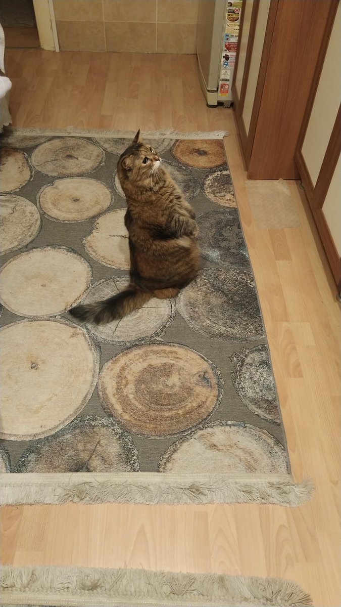 🍐
Ooo hanidur Alii oooo neredur Alii