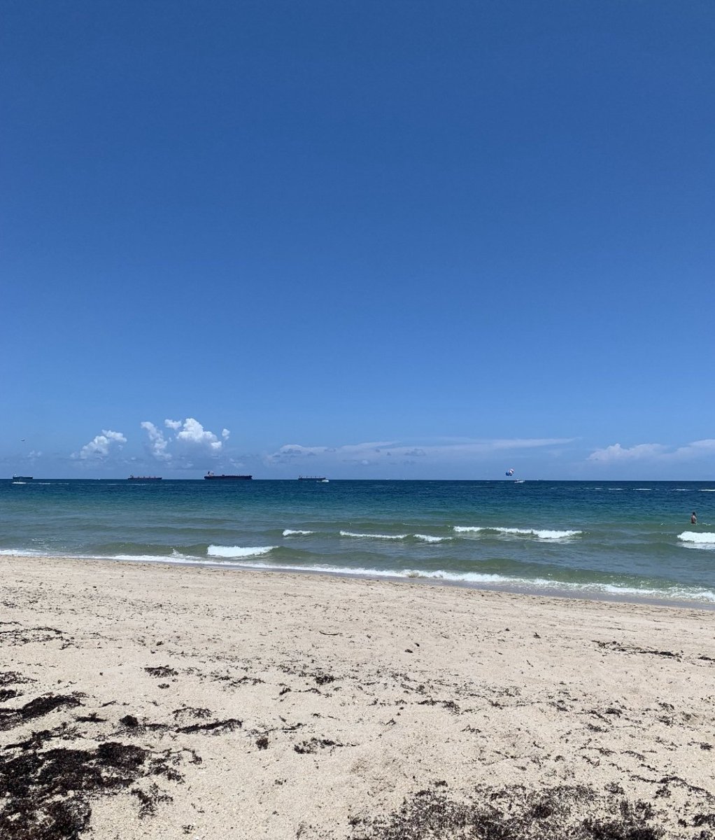 One of our summer interns, Andrew Gannon, took a much-deserved vacation to Florida before the start of the school year. His favorite highlights of the trip include hanging with friends and family, enjoying time on the beach, and even swimming with manatees and turtles!
