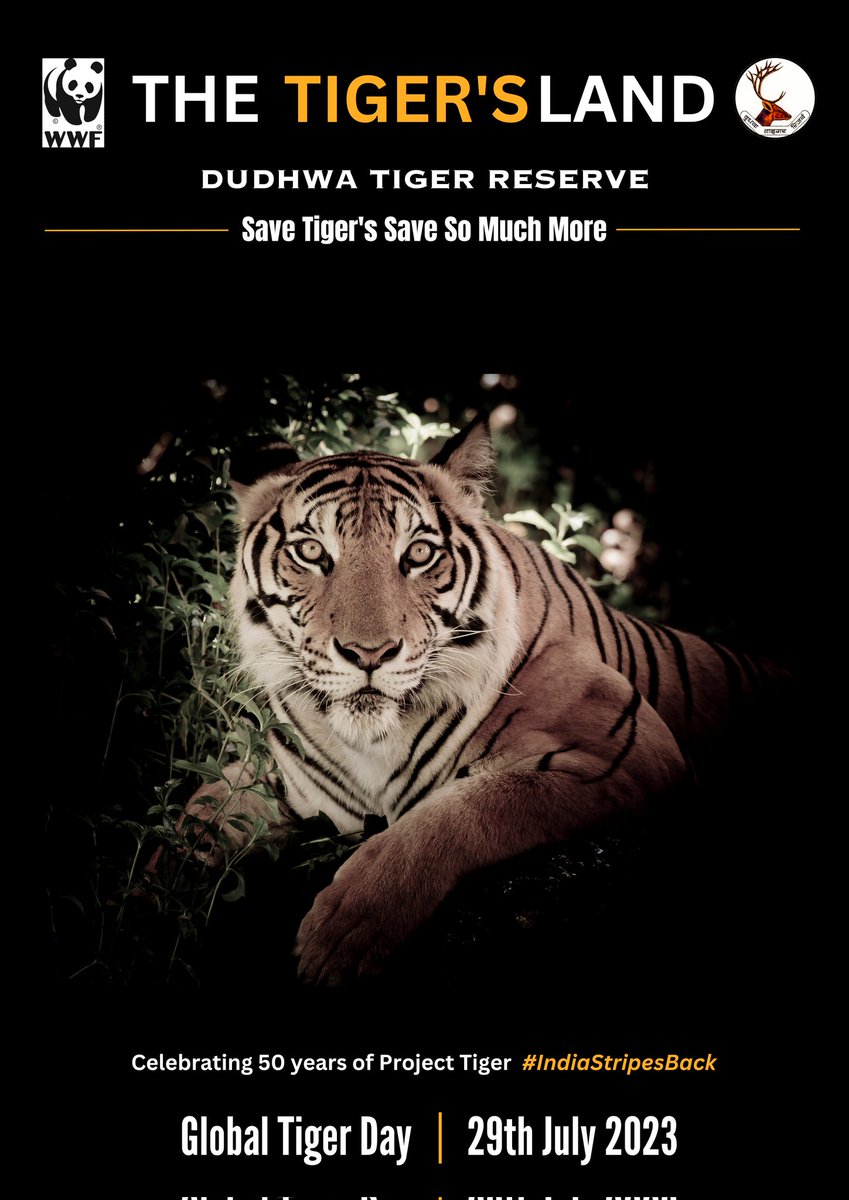 DudhwaTR's tweet photo. Let's Celebrating 50 years of Project Tiger..
Global Tiger Day-2023
#IndiaStripesBack
#DudhwaTigerReserve
@moefcc @ntca_india @UpforestUp @WWFINDIA @ifs_lalit @raju2179 @amitsharma_ghy https://t.co/7VobHo8vry