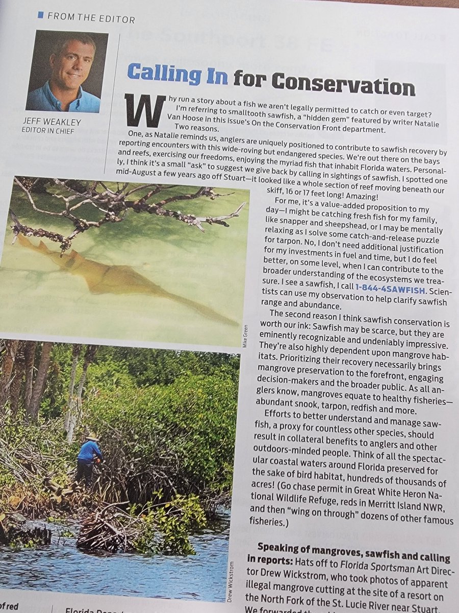 SawfishRecovery's tweet photo. Pick up an August/September edition of @FL_Sportsman with two great articles about Florida's "hidden gem", the endangered smalltooth #sawfish!

Please share sawfish encounter information by visiting https://t.co/iV08AxuvRK, calling 1-844-4SAWFISH, or emailing sawfish@myfwc.com. https://t.co/co1WcuPpae