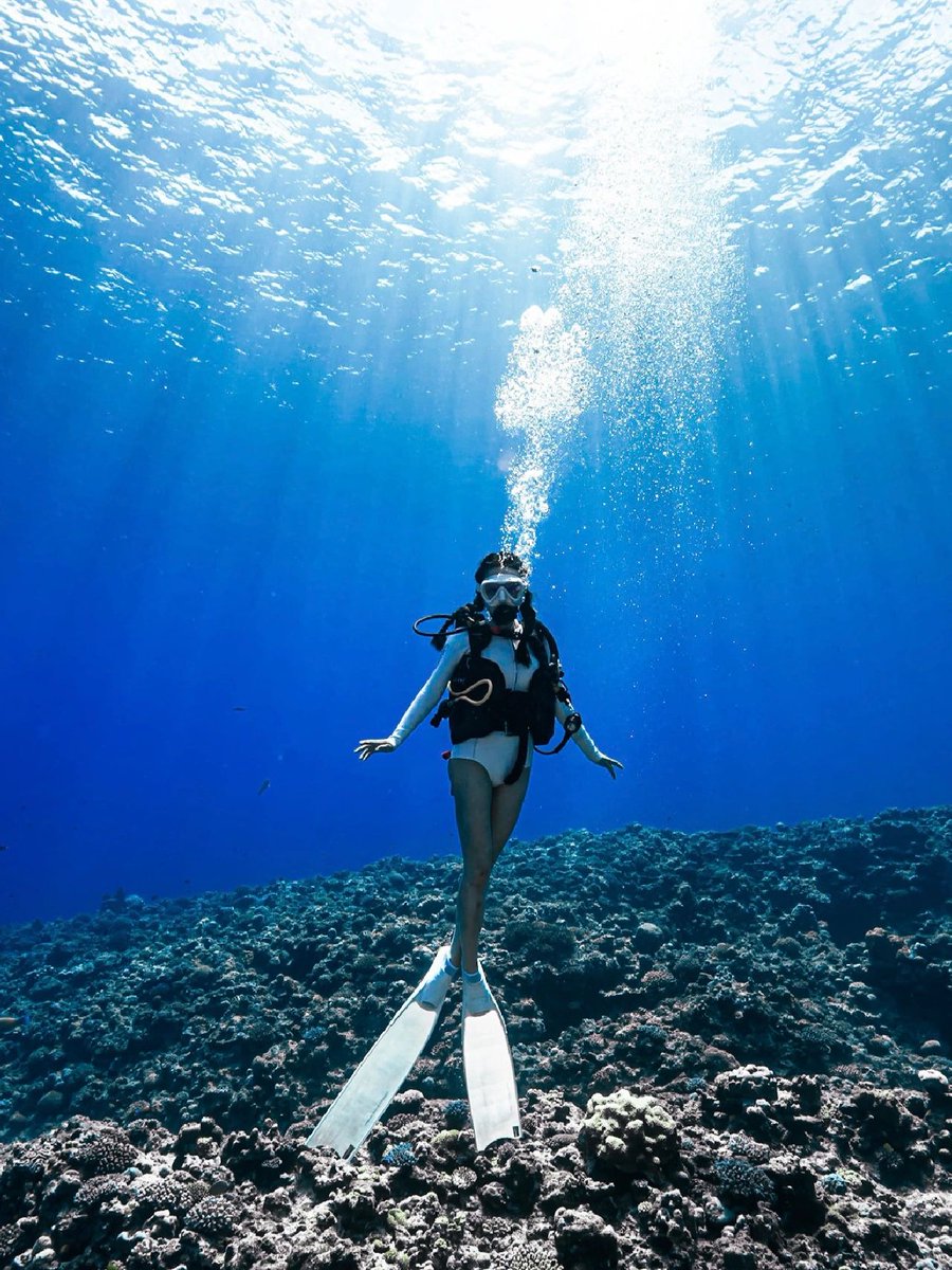 negooiu's tweet photo. I'm not happy thinking about the next time I don't know when I'll go scuba diving!
#diving #divingcertification #scubadiving #divinghotos https://t.co/1cvB9I0a3M