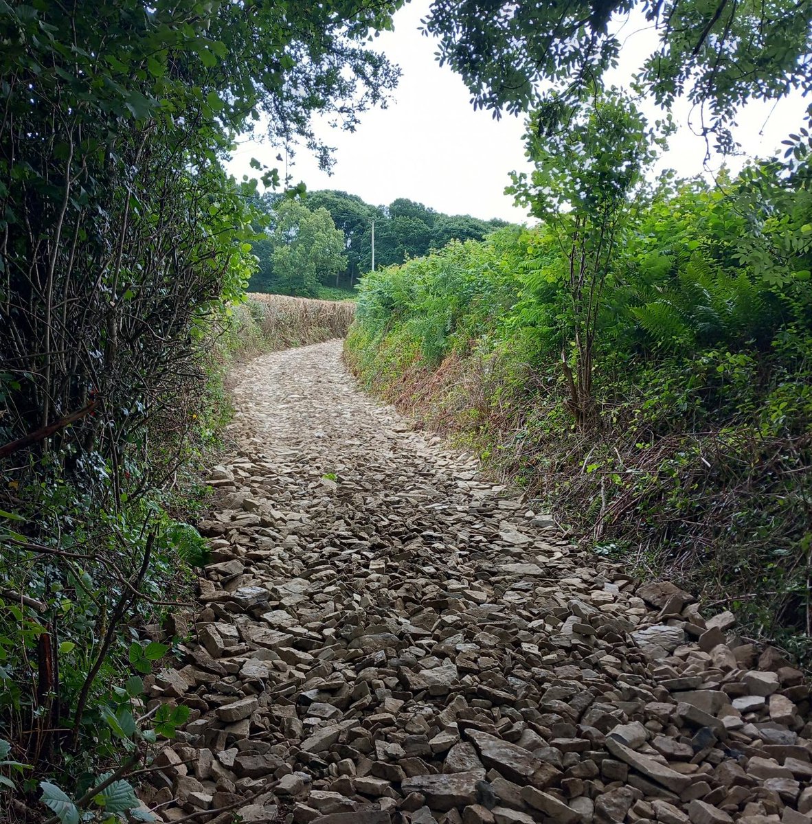 Wye Valley Walk tweet media