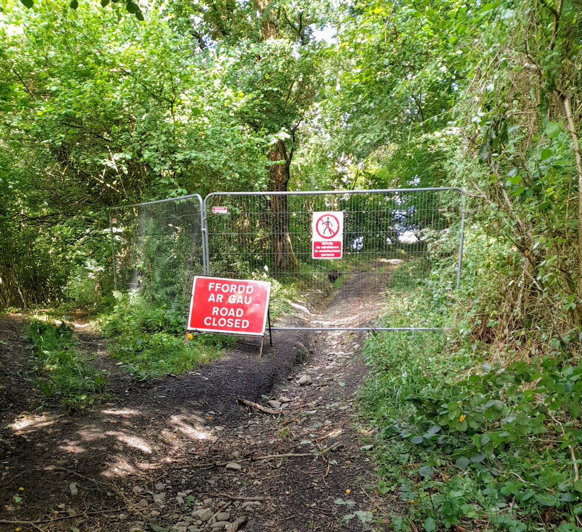 Wye Valley Walk tweet media