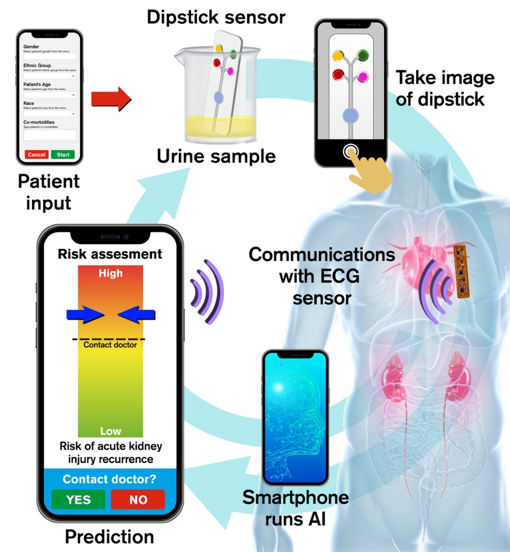 ImonBanerjee6's tweet image. Starting a new project #AI enabled #multisensor platform to monitor AKI patients -- funded by #NIH R01
@MayoClinicMI2 @MayoRadiologyAZ @ASU