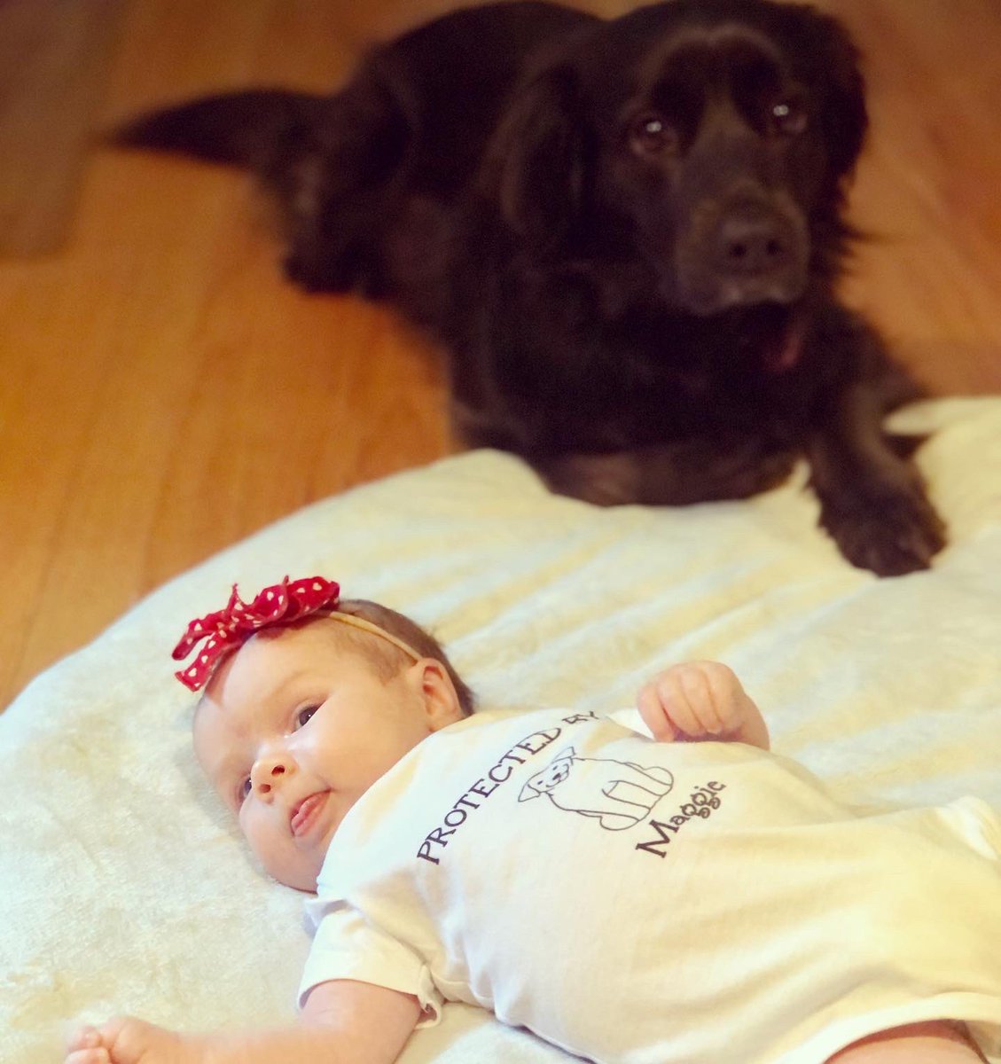 It’s been 1 month since Molly entered our world! My wife and I are loving parenthood, and our dog Maggie is loving her new best friend! #ncpol #newparent #1monthold #dingeefornc #ncauditor