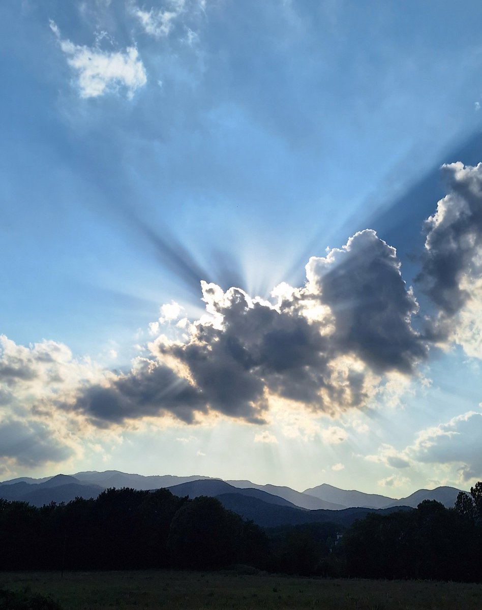 _

Capvespre a La Garrotxa
#evening