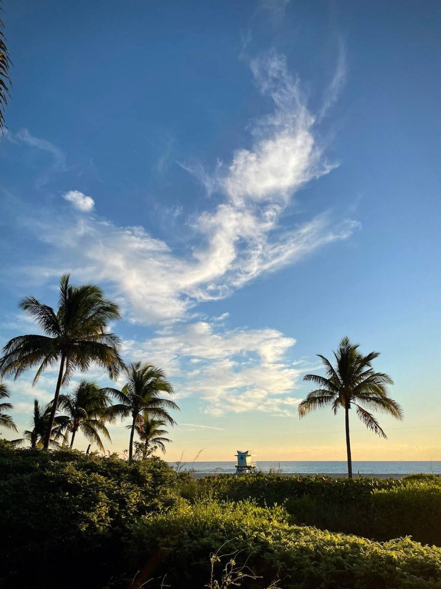 merphwj's tweet photo. Only when I walk in nature can I feel true joy in my body and mind #Miami https://t.co/B7menvHbo3
