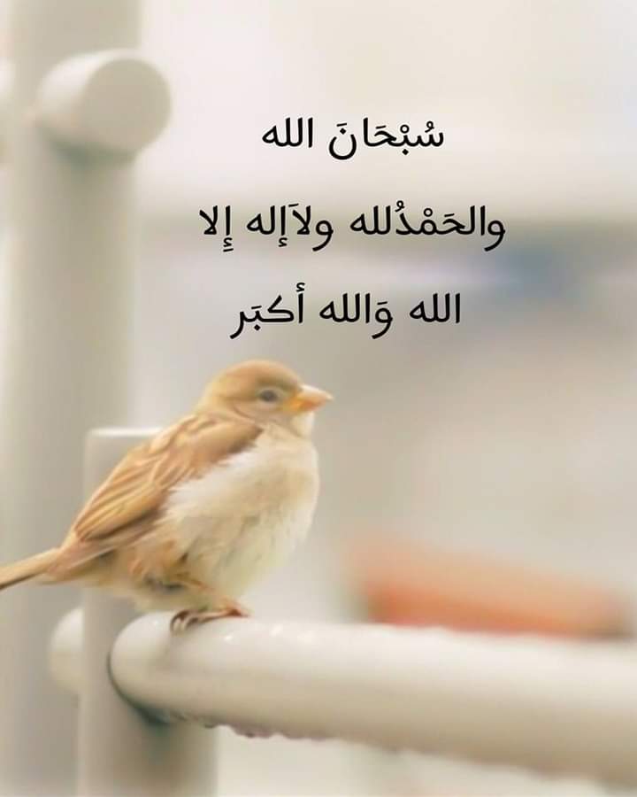سُبْحَانَ الله
والحَمْدُلله
ولاَإله إِلا الله
وَالله أكبَر