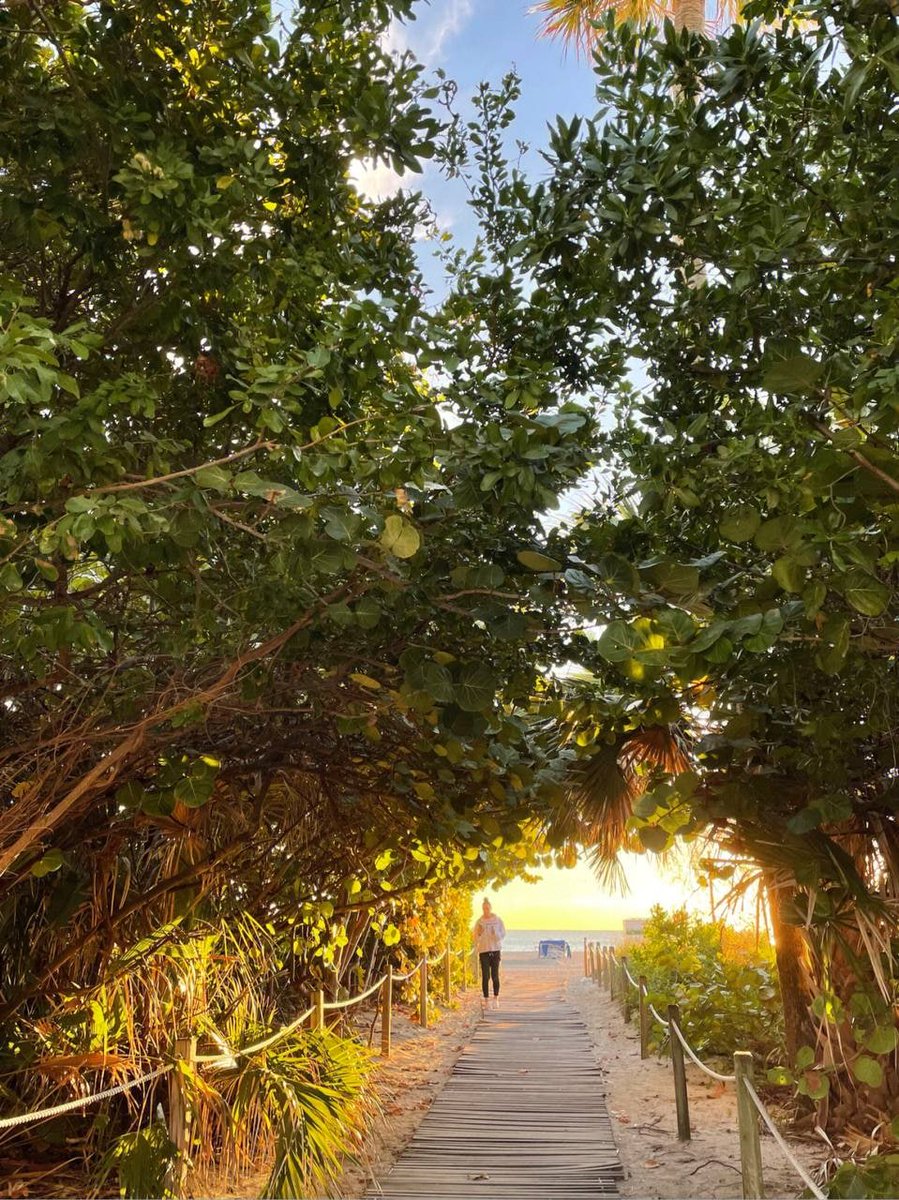 Only when I walk in nature can I feel true joy in my body and mind #Miami