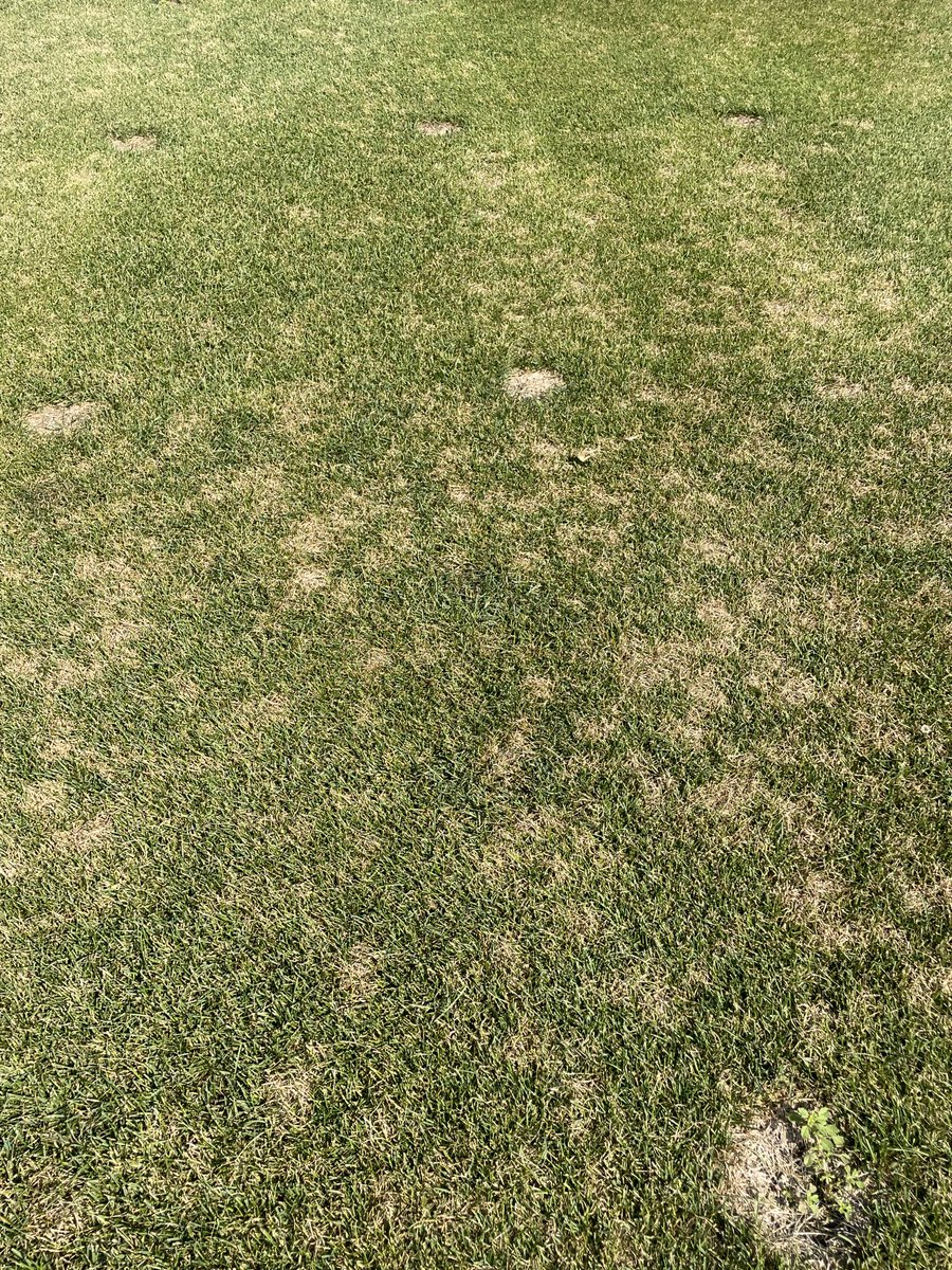 Crystal Fricker tweet media