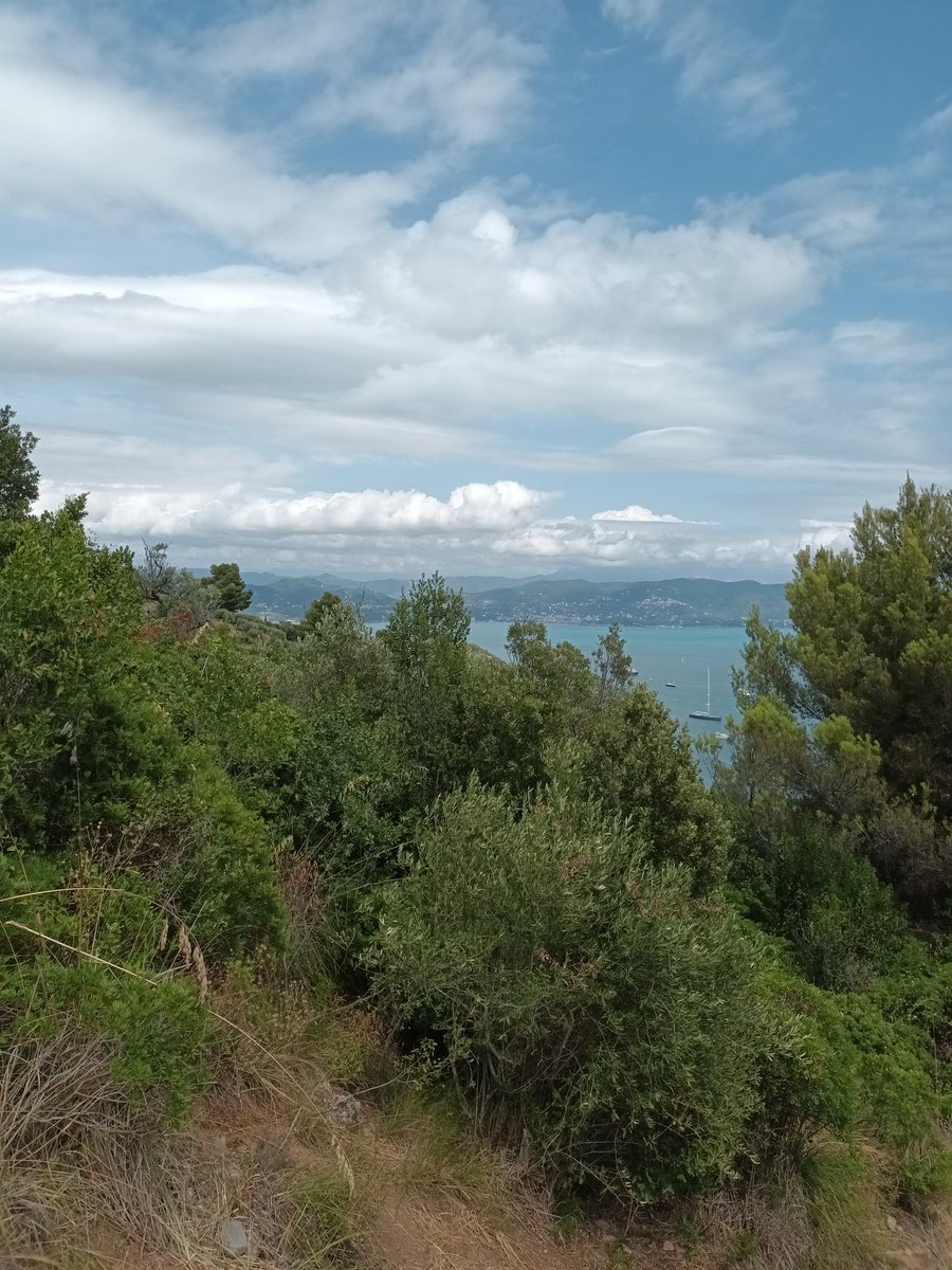 Vandaag het schitterende stadje Portovenere bezocht, gelegen aan de baai van La Spezia. Een paar meter het stadje uit en weg toeristen, een paar mooie uitzichten en ook nog de blauwzwarte houtbij gespot #fijndagje