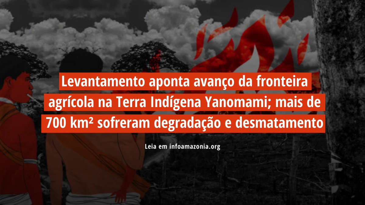 Análise inédita mostrou que há desmatamento, além do garimpo, na Terra Indígena Yanomami, e ele está impulsionado pelo avanço do agronegócio. 

📲Leia aqui: infoamazonia.org/2023/07/28/lev…