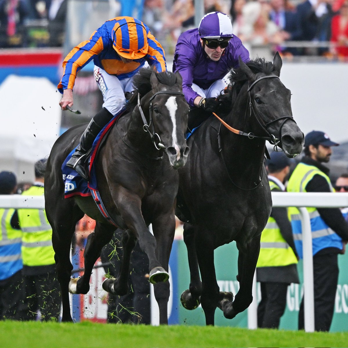 racingblogger's tweet image. 💷 If AUGUSTE RODIN Wins the King George for Ryan Moore and Aidan O'Brien at Ascot tomorrow: 🇮🇪

I'll give £250 Cash to One of You Lucky People!! 🥇

To Enter: 👇

1️⃣ RT this Tweet
2️⃣ Follow @racingblogger

🚨 instagram.com/racingblogger

#Ascot #TwitterX #Ashes #Win 🏇