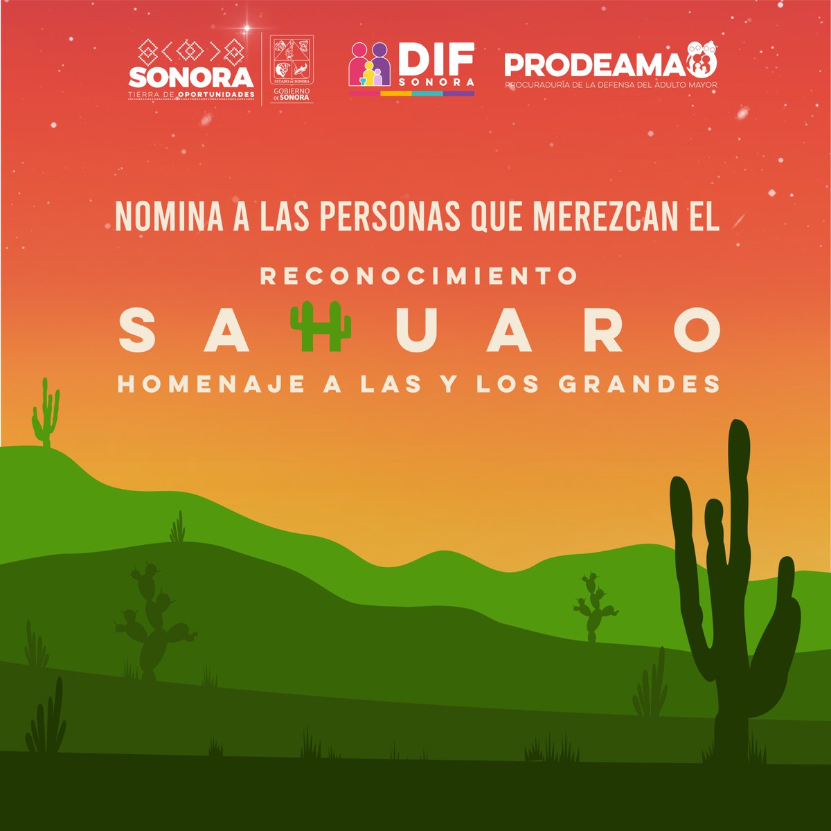 DIFSonora's tweet photo. ¡Se abre registro de nominaciones para Reconocimiento Sahuaro 2023!🌵

El Gobierno del Estado invita a nominar a personas adultas mayores con trayectoria memorable y a quienes realizan labor destacada a favor de la tercera edad. 

https://t.co/VeJpJtRme2 https://t.co/KNzeTFMwDO