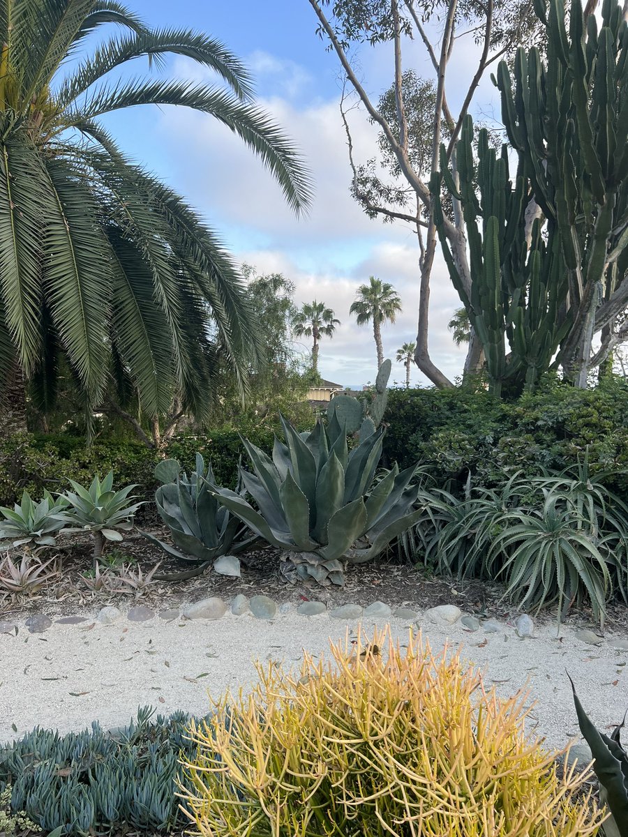 " طرب ٍ وشاهدني من البيض مياس
عذب اللــمى ما ورد فاهه ولا بيس
لمة اجعوده كنها عصــم الارماس
ضاوي دجاهـا و العواتق  مقابـيس 
وصبح الضيا من غرته ياخذ انفاس
يغني عن القنديل ان جن خرميـس
انبال  بلحاظـه  وحجاتــه  
اقواس
وسمّـوه  نطفه للعشاشيق طلميس "

🤍