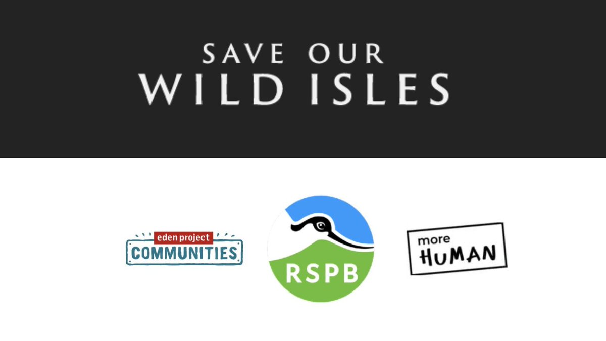 More Human tweet media