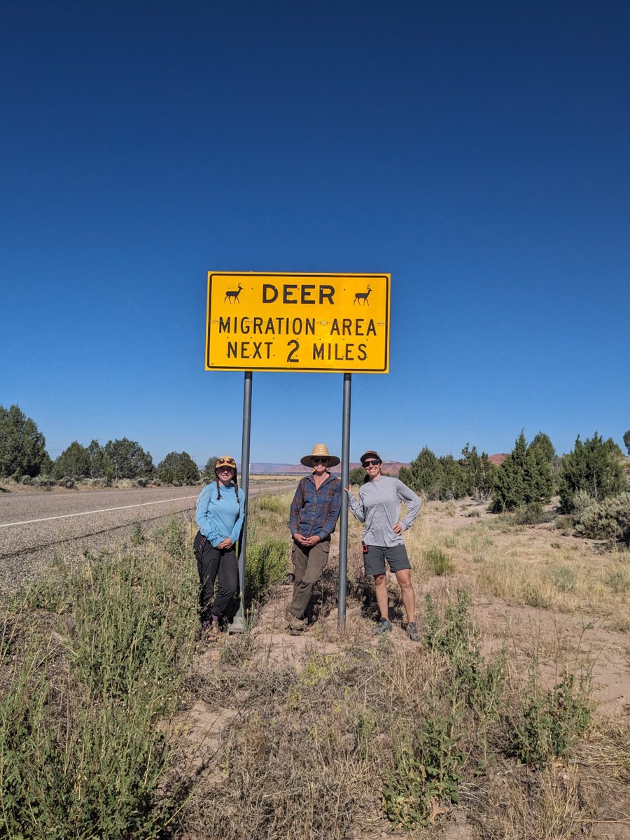 wildlandsnetwrk's tweet image. Wildlands Network, Grand Staircase-Escalante Partners, and Backcountry Hunters and Anglers spent a few days this month scouting road access and fencelines for our National Fish and Wildlife Foundation grant!