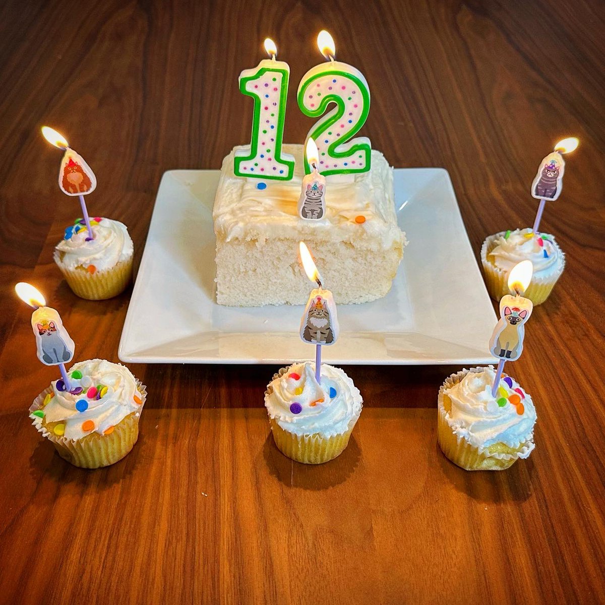 BanditTorpedo's tweet photo. Today is BIRTHDAY #12! 🔥THE DIRTY DOZEN! 🎂 🎉 😼 #CatsOfTwitter #cats #CatsOnTwitter #catfriday #catbirthday #birthdayboy #catday https://t.co/pyU6gASLk1