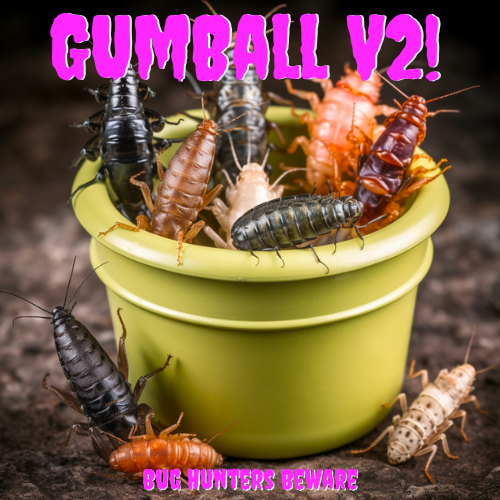 Hey nerds, GumBall V2 Bug Hunting is happening RIGHT NOW in our Discord. Come vibe and tell us gud job.

Check announcements channel for deets

Discord --> discord.gg/yfyHfegmXg

$ETH $ARB $OP $MATIC $BTC $BNB $CANTO #NFT #DeFi #bughunting #solidity #react #web3 #gamefi