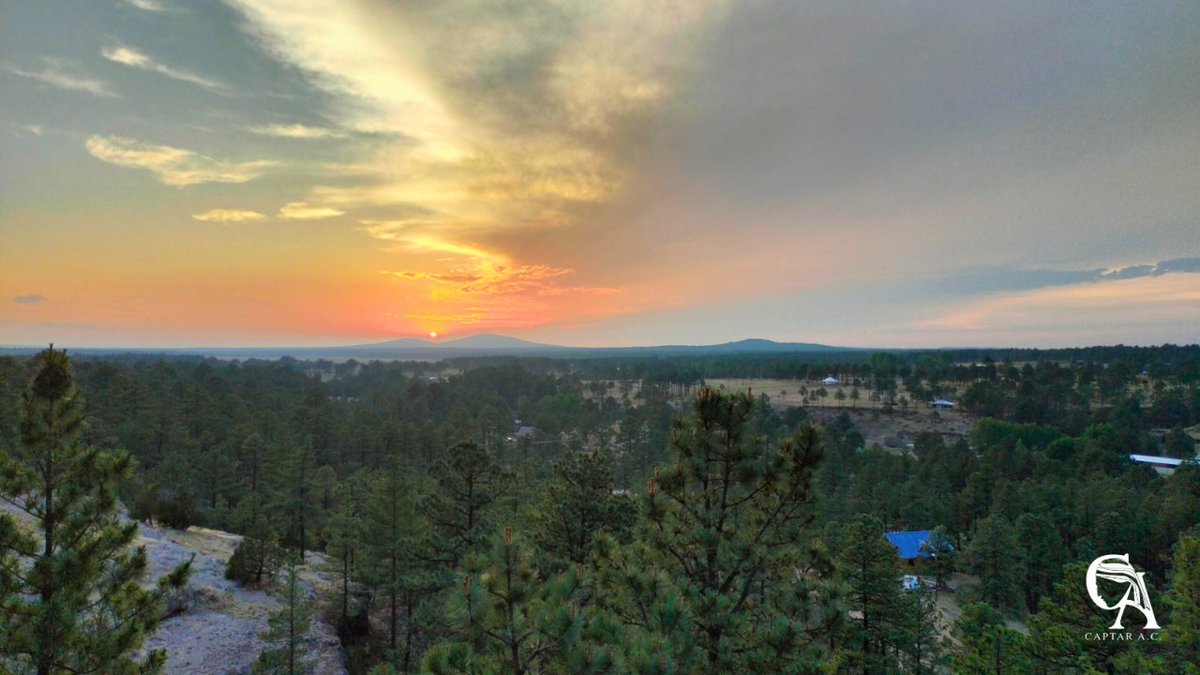 CAPTAR_'s tweet photo. Los paisajes que nos deja la Sierra Tarahumara, son inigualables. 💙
#sierratarahumara #comunidadesraramuris #paisajesmexicanos #captarac #chihuahuamexico https://t.co/FNNRmgZ5Of